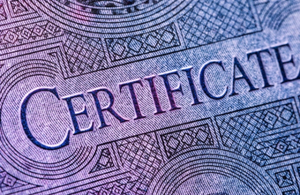 Close-up of Guilloche patterns on a security document