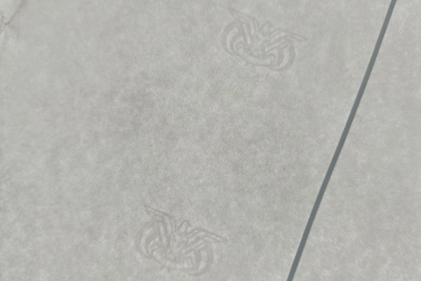 Close-up of paper fibers showing a watermark pattern
