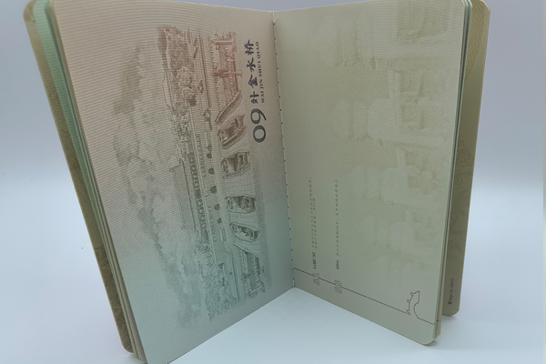 An infographic showing the layers of security in a modern passport