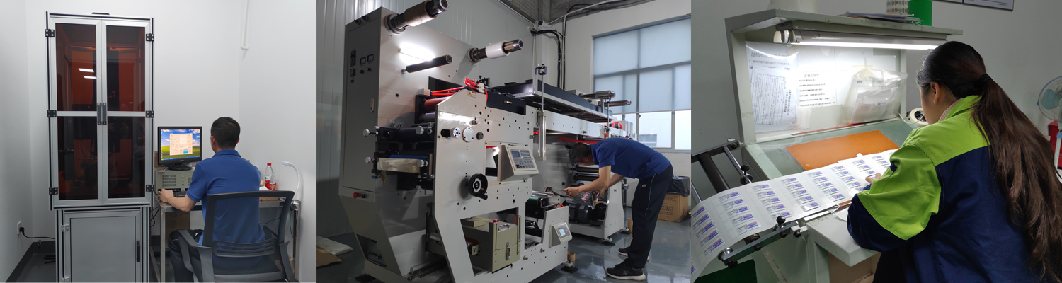 Factory and production facility showing professional manufacturing environment